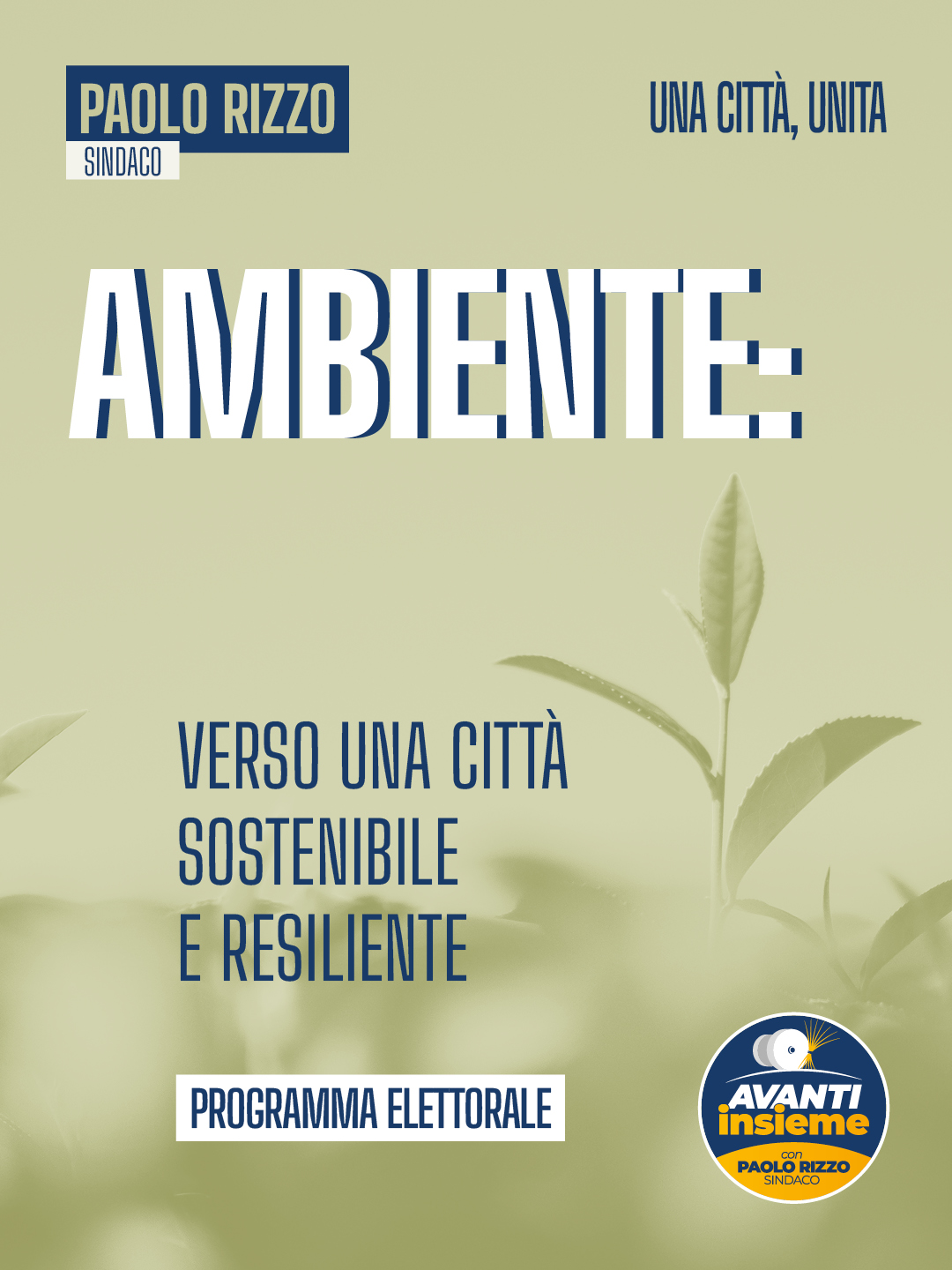 card programma 9